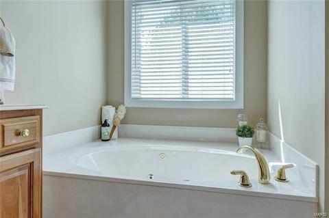 1254 Polo Lake Dr, Ellisville, MO 63021 photo 32