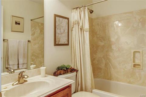 1254 Polo Lake Dr, Ellisville, MO 63021 photo 38