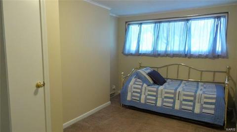 8619 S Laclede Sta, Saint Louis, MO 63123 photo 25