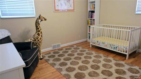 8619 S Laclede Sta, Saint Louis, MO 63123 photo 20