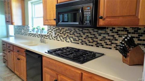 8619 S Laclede Sta, Saint Louis, MO 63123 photo 10