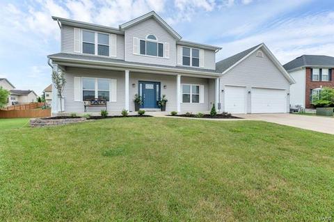 16 Dusty Rose Ct, O'fallon, MO 63368 photo 3