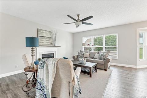 16 Dusty Rose Ct, O'fallon, MO 63368 photo 8
