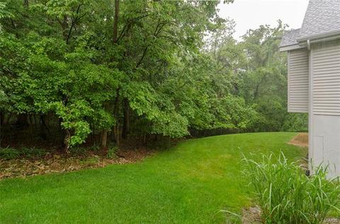 243 Oakmont Farm Dr, Ballwin, MO 63021 photo 48