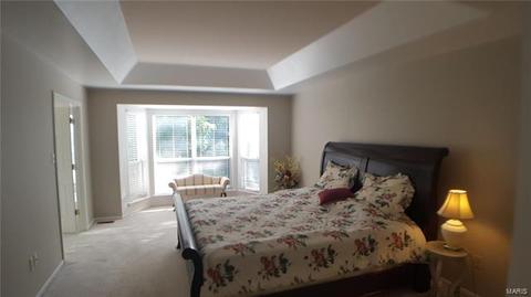 243 Oakmont Farm Dr, Ballwin, MO 63021 photo 28