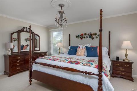 623 Dougherty Ter, Ballwin, MO 63021 photo 29