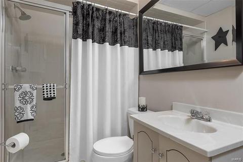 623 Dougherty Ter, Ballwin, MO 63021 photo 41