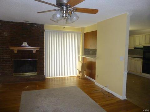 433 Brass Lamp, Ballwin, MO 63011 photo 3