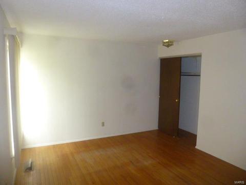 433 Brass Lamp, Ballwin, MO 63011 photo 6
