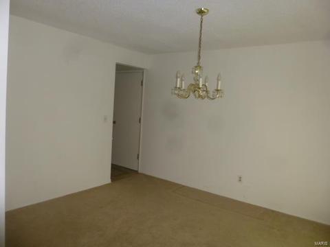 433 Brass Lamp, Ballwin, MO 63011 photo 4