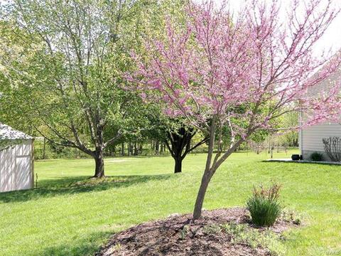 612 Schultz Ct, Foristell, MO 63348 photo 42
