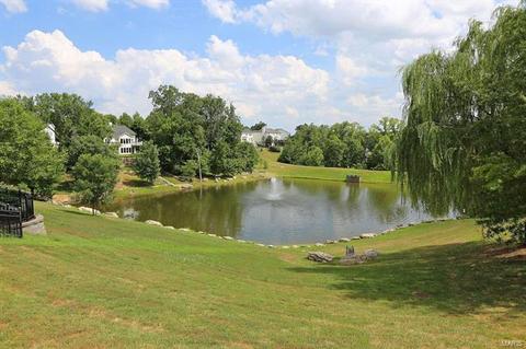298 Arbor Trails Dr, Ballwin, MO 63021 photo 22