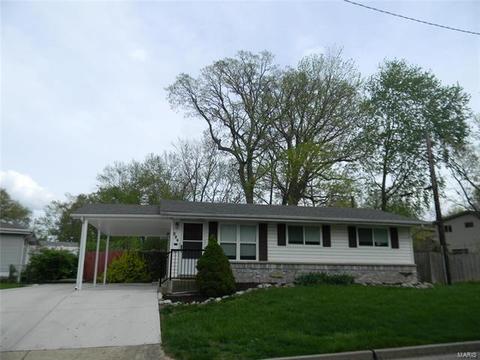 204 Chamberlin Dr, Ballwin, MO 63021 photo 34