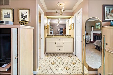 1193 Briar Patch Rd, Ellisville, MO 63021 photo 13