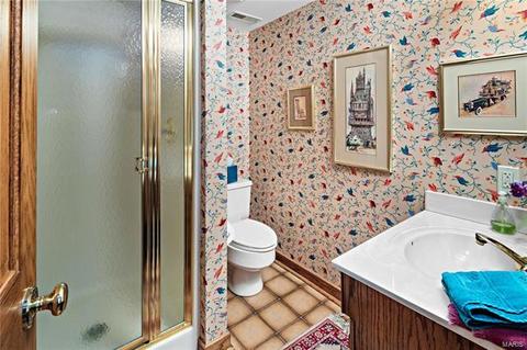 1193 Briar Patch Rd, Ellisville, MO 63021 photo 21