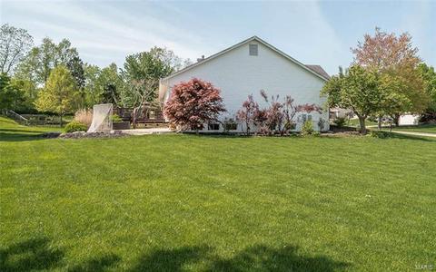 1122 Bellow Falls Dr, O'fallon, MO 63368 photo 31