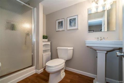 1122 Bellow Falls Dr, O'fallon, MO 63368 photo 24