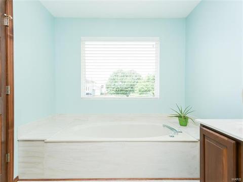 103 Hunters Lake Ct, Eureka, MO 63025 photo 50