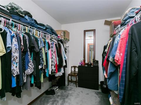 103 Hunters Lake Ct, Eureka, MO 63025 photo 49