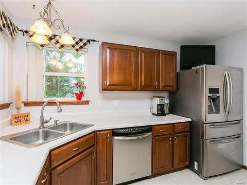 103 Hunters Lake Ct, Eureka, MO 63025 photo 29