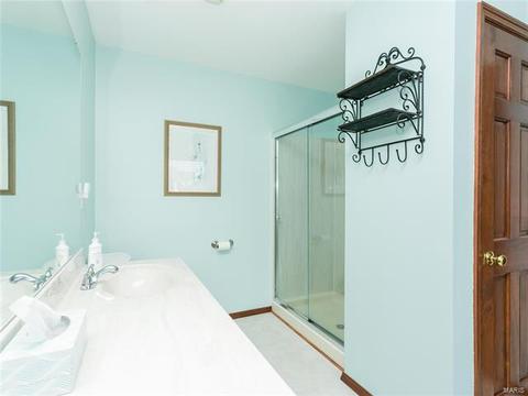 103 Hunters Lake Ct, Eureka, MO 63025 photo 52