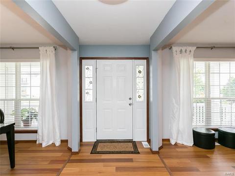 103 Hunters Lake Ct, Eureka, MO 63025 photo 14