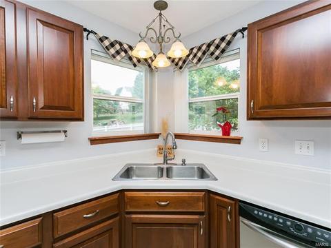 103 Hunters Lake Ct, Eureka, MO 63025 photo 27