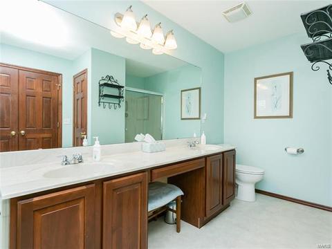 103 Hunters Lake Ct, Eureka, MO 63025 photo 51