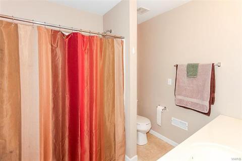 1460 Lucerne Manors Dr, Weldon Spring, MO 63304 photo 44