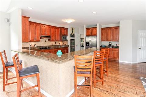 1460 Lucerne Manors Dr, Weldon Spring, MO 63304 photo 18