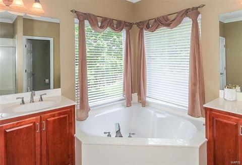 1460 Lucerne Manors Dr, Weldon Spring, MO 63304 photo 34