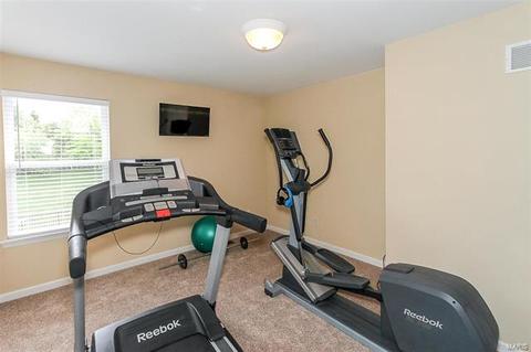 1460 Lucerne Manors Dr, Weldon Spring, MO 63304 photo 54