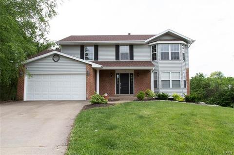 4 Beckewith Ct, O'fallon, MO 63368 photo 1