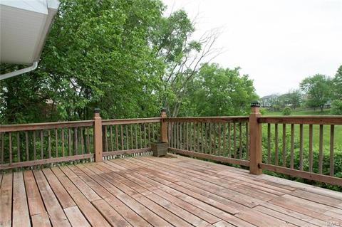 4 Beckewith Ct, O'fallon, MO 63368 photo 47