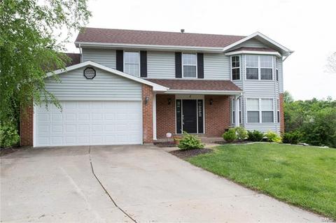 4 Beckewith Ct, O'fallon, MO 63368 photo 51