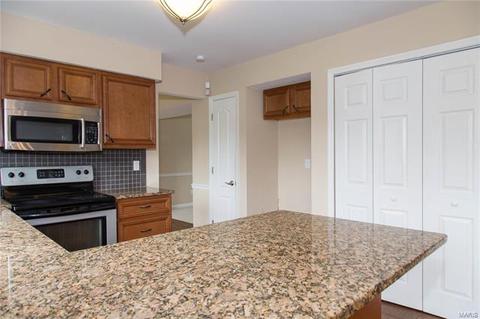 4 Beckewith Ct, O'fallon, MO 63368 photo 20