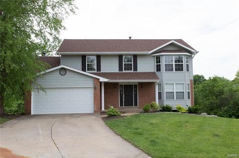 4 Beckewith Ct, O'fallon, MO 63368 photo 50