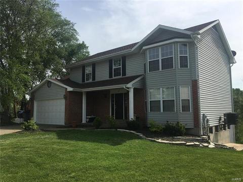 4 Beckewith Ct, O'fallon, MO 63368 photo 2