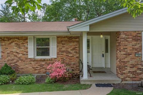 710 Henry Ave, Ballwin, MO 63011 photo 29