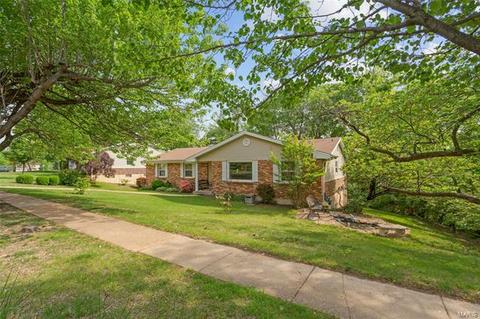 710 Henry Ave, Ballwin, MO 63011 photo 30