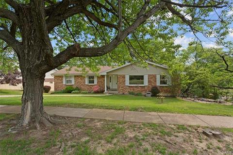 710 Henry Ave, Ballwin, MO 63011 photo 2