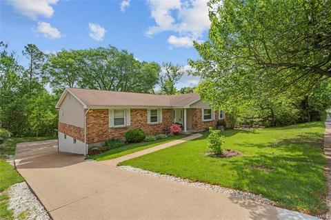 710 Henry Ave, Ballwin, MO 63011 photo 31