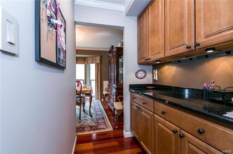 737 Spring Hill Farm, Ballwin, MO 63021 photo 18