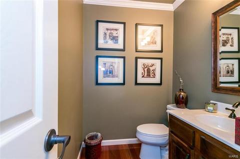737 Spring Hill Farm, Ballwin, MO 63021 photo 20
