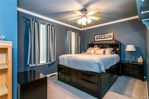 737 Spring Hill Farm, Ballwin, MO 63021 photo 27