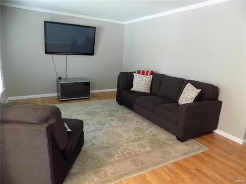 294 Brightfield, Ballwin, MO 63021 photo 10