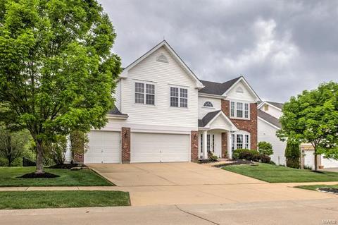 515 Meramec View Dr, Eureka, MO 63025 photo 34