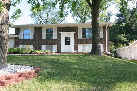 1109 Bromfield Ter, Manchester, MO 63021 photo 1