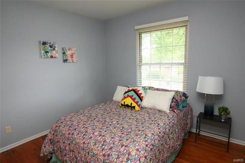 1109 Bromfield Ter, Manchester, MO 63021 photo 20