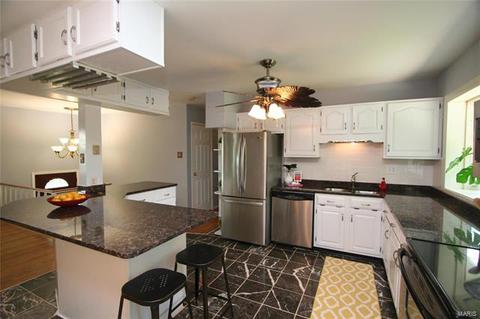 1109 Bromfield Ter, Manchester, MO 63021 photo 13